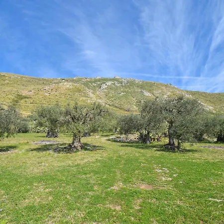 3 Bedroom Stunning In Holiday home